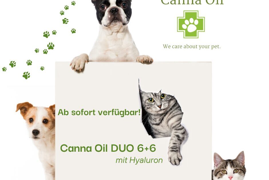 Ab sofort verfügbar!CannaOil DUO 6+6