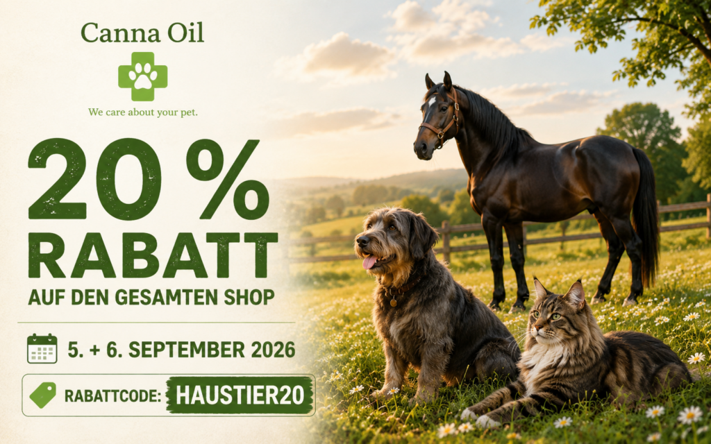 septembersale